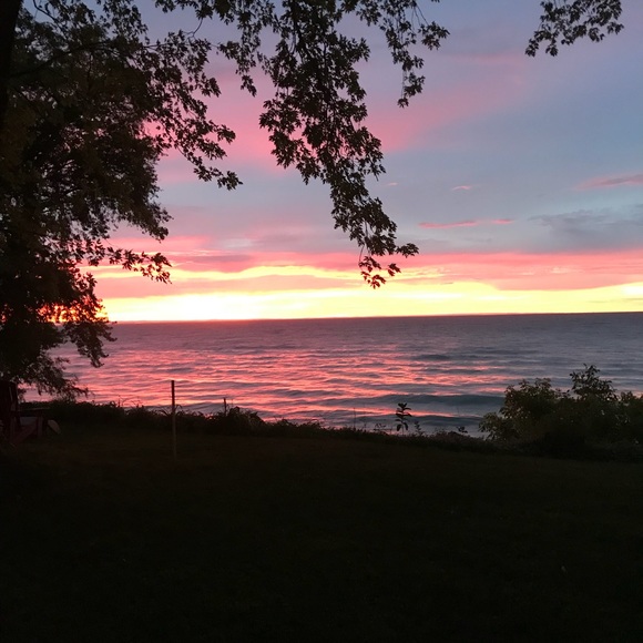 Meet your Posher, Serena - Picture 1 of 1